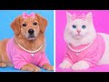$1 vs $10,000 PET SHOPPING! 🐱 Gold-Plated Treats vs DIY Hacks! 😂