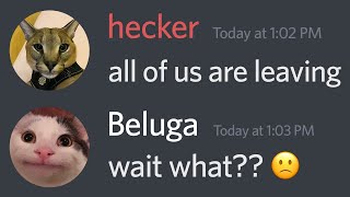 If Everyone Leaves Beluga...