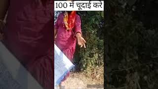 जंगल में मंगल सो 100 में चुदाई  jangal m Mangal 100 full sex village #sexy #sex #village #viralvideo