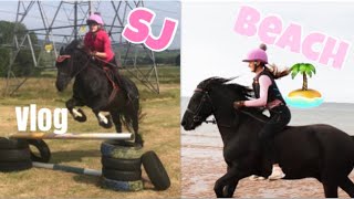 VLOG|Galloping BAREBACK + Jumping For The FIRST Time|TheFellPony