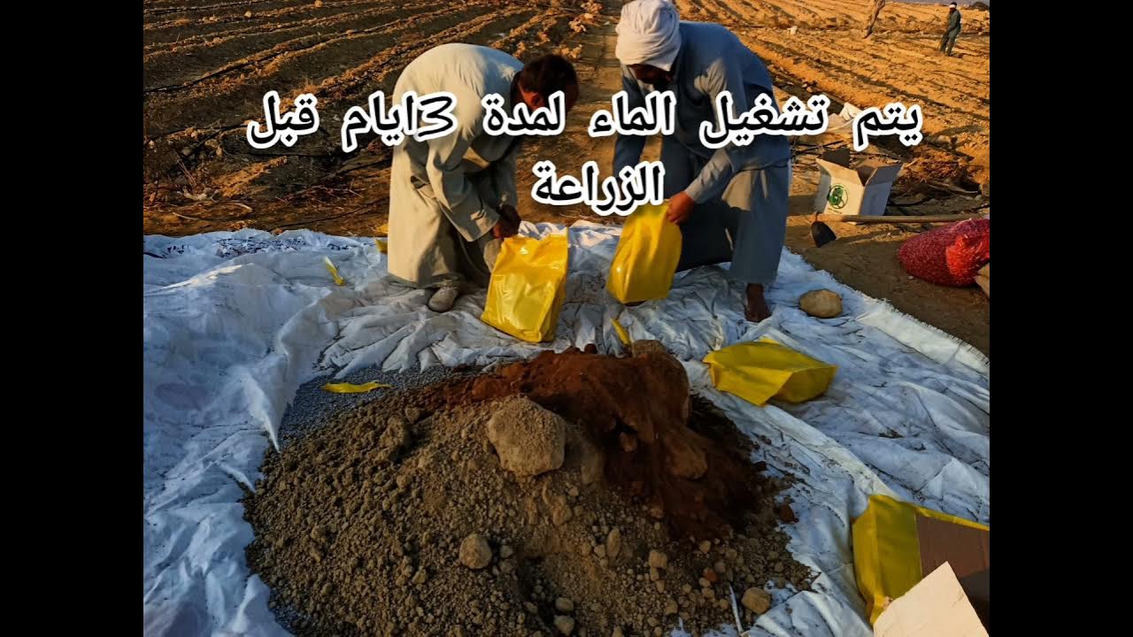 How to mix fertilizer 2021 YouTube