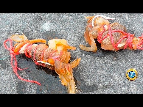 Click to Play Video
