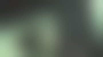 All Unique Executions - Gears of War 3