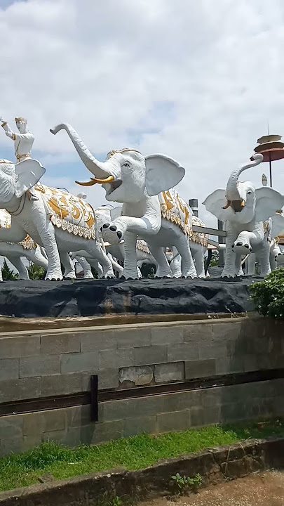 Tugu Gajah siwo Mergo di lampung tengah #viral #trendingshorts #patung #pahlawan #gajah #putih