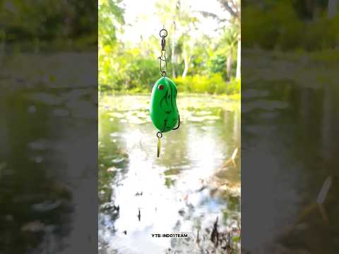 mancing diempang tetangga,