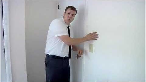 How to Kill Silverfish Bugs