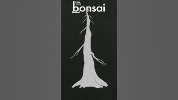 Bonsai Branches #shorts