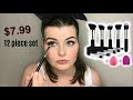 Testing affordable af makeup brushes  beautybyewa