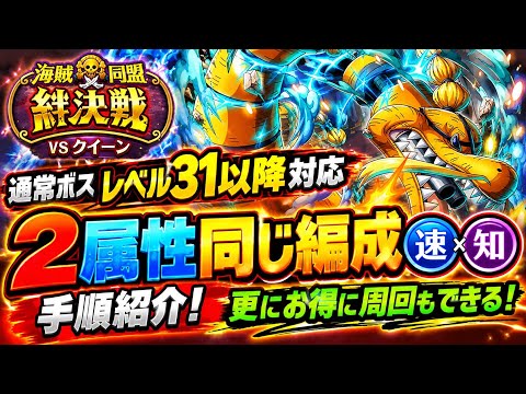 [トレクル]絆決戦VSクイーン通常ボス編成紹介！2属性同じ編成同じ手順で超簡単！ベリーも豊富にゲット！[OPTC][絆決戦]