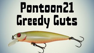:    ! Pontoon21 Greedy Guts