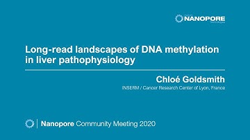 Long-read landscapes of DNA methylation in liver pathophysiology