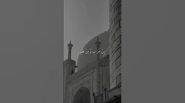 محمد سيد الكونين والثقلين مقطع حالة 