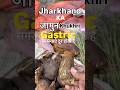 Jharkhand ka Desi Jamun Khukhuri #jharkhand #travel #ranchi #tribal #shorts #ytshorts #fyp #bazar