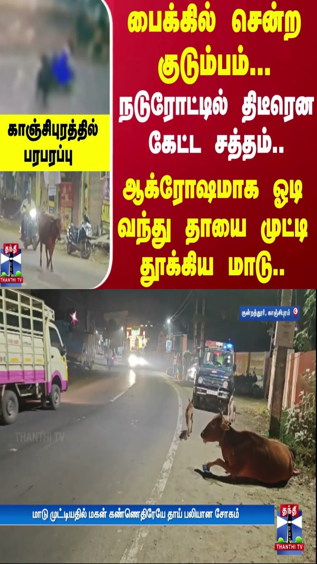 நடுரோட்டில் திடீரென கேட்ட சத்தம்.. ஆக்ரோஷமாக ஓடி வந்து தாயை முட்டி தூக்கிய மாடு..