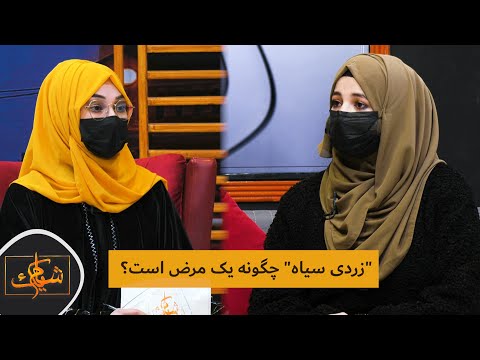 زردی سیاه چگونه یک مرض است