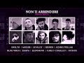 Non ti arrendere - Posse Track (Swelto, Moder, Soulcè, Reiven, Blue Virus, Zampa, Pathos...