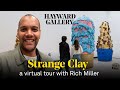 Strange Clay | virtual tour with Rich Miller | Hayward Gallery