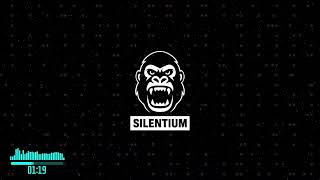 Download Lagu 404: Heart Not Found - Silentium MP3