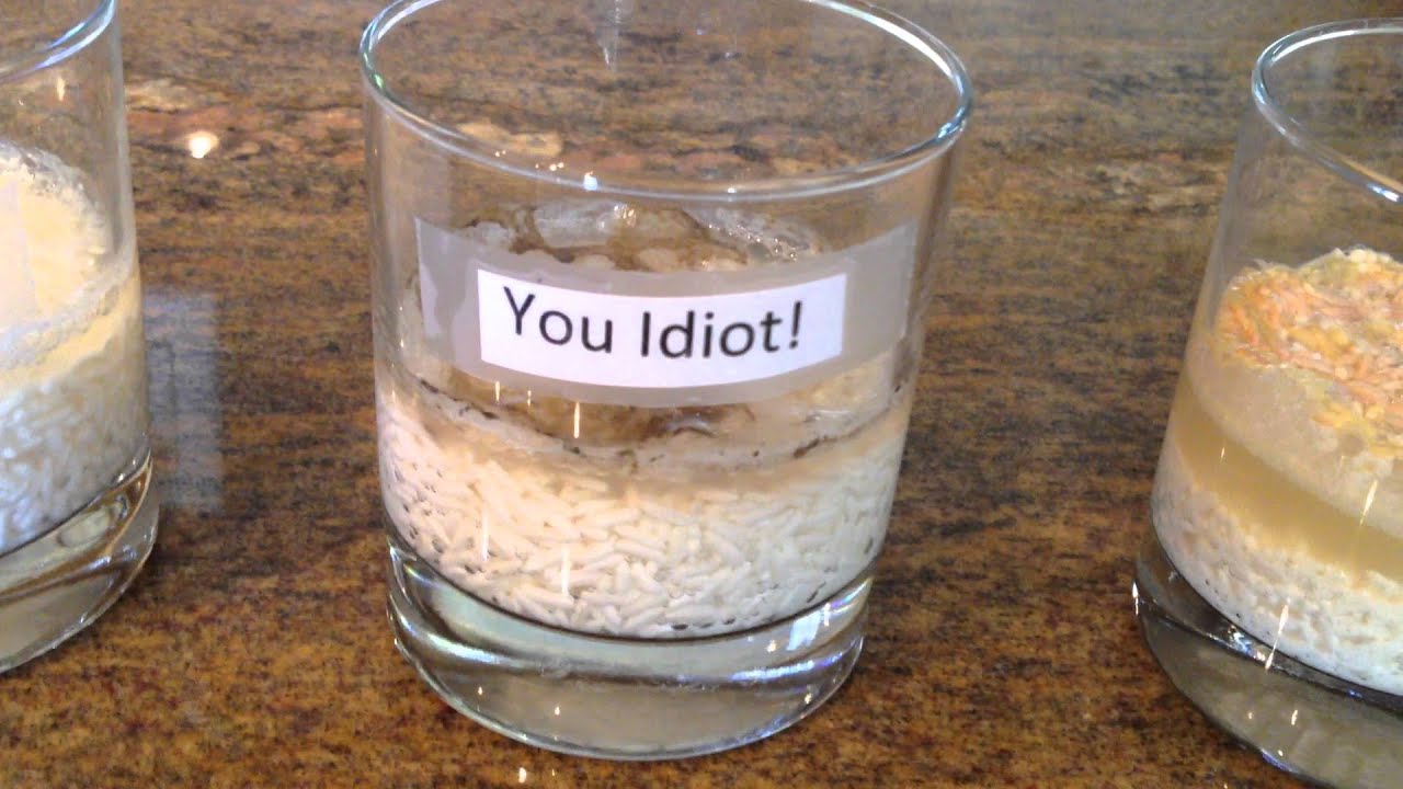 dr emoto water images dr emoto water images