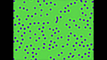 Gray-Scott Model Simulation (Pattern Iota) -Complex Patterns in Simple Reaction-Diffusion System.wmv