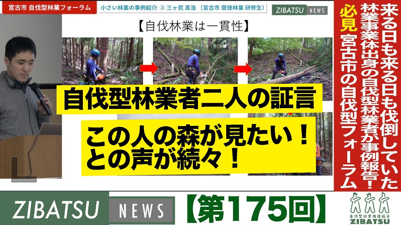 欅＋広葉樹 自伐自作の盆 part③ 欅＋広葉樹 自伐自作の盆 part③