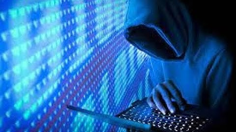 Teamleets Reverse IP 2023