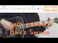 【ギターコード付き】back number/Bird's Sorrow【アコギ弾いてみた】