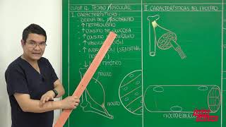 091/BIOLOGÍA TEJIDO MUSCULAR TEORÍA 1