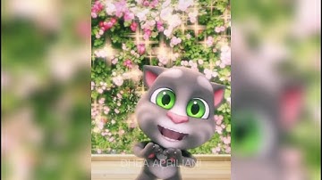 nhảy theo điệu nhảy của các chú mèo nào các bạn ơi | Tom và Angela #shorts 1