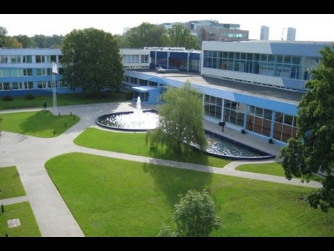 Video: Vai Tufta universitātē ir biznesa skola?