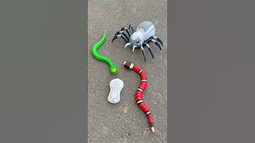 Remote control snake se to muje RC Spider Accha Laga