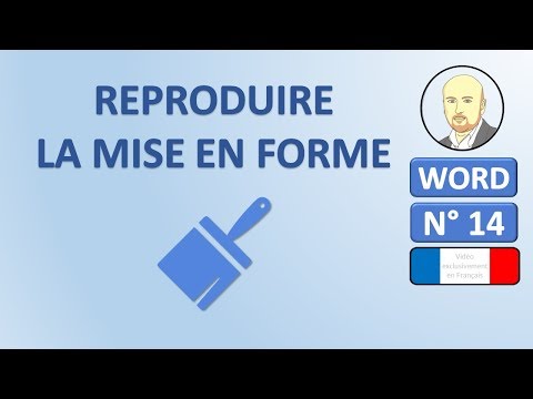 word-14---comment-reproduire-la-mise-en-forme-d'un-texte