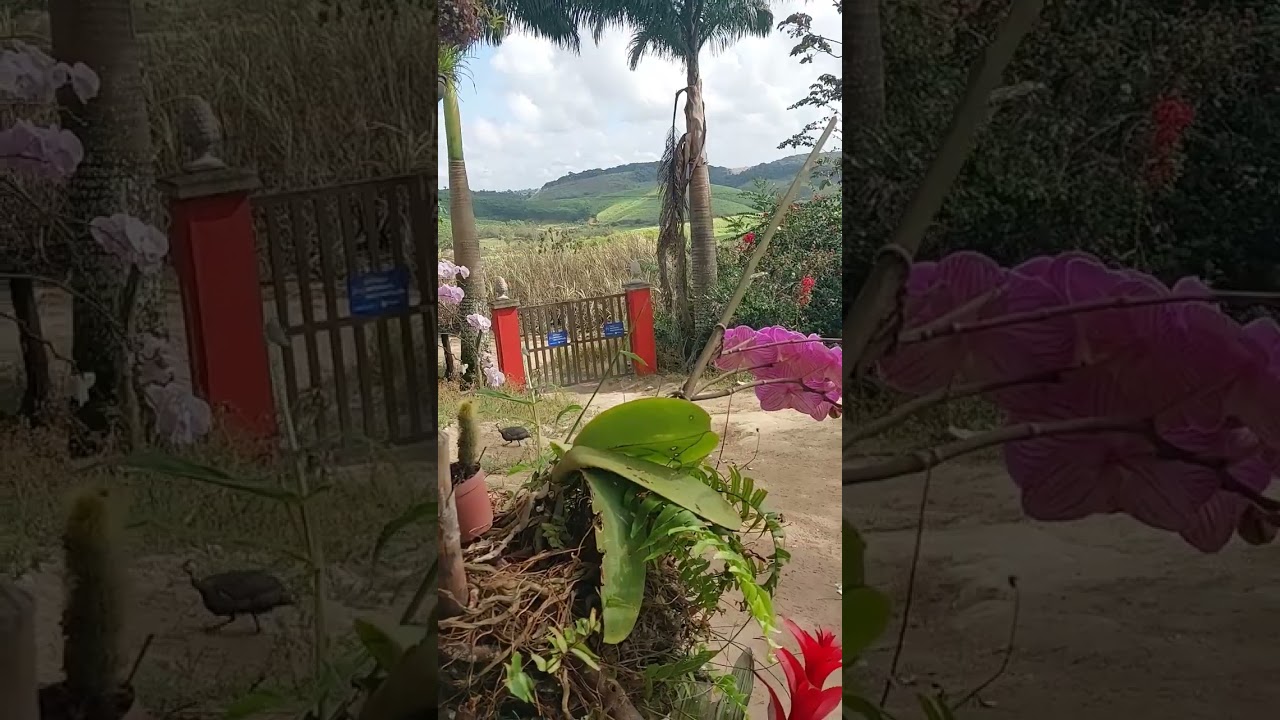 23 de outubro de 2025