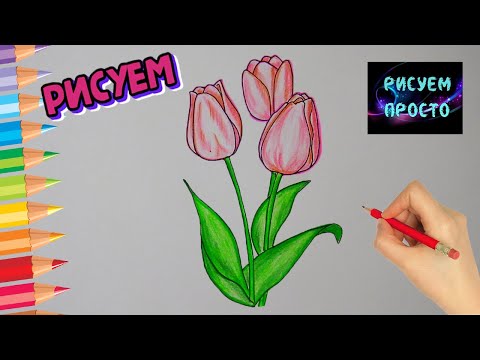 Как нарисовать ТЮЛЬПАНЫ К 8 МАРТА, Рисуем Просто, рисунки для срисовки/683/How to draw TULIPS