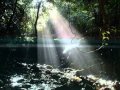 記憶の森 癒しの一曲 記憶の森 癒しの一曲
