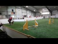 ASCA-kisat 21.7.2017 Gamblers Novice Q