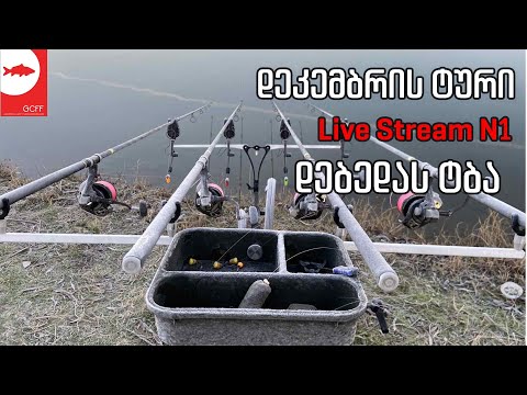 ლაივი დეკემბრის ტურნირიდან - დებედას ტბა