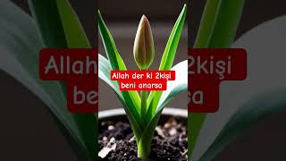 Allah Dualarımızı Kabul Etsin 🤲