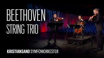 Beethoven: String Trio in G major, Op. 9 No.1