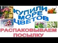 КУПИЛИ МОРЕ ЦВЕТОВ ДЛЯ ПОСАДКИ. РАСПАКОВЫВАЕМ ПОСЫЛКУ