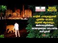 Wow! Elephants surround Vava suresh | Midnight Adventurous scenes of the Forest | Snakemaster EP 436