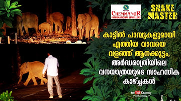 Wow! Elephants surround Vava suresh | Midnight Adventurous scenes of the Forest | Snakemaster EP 436