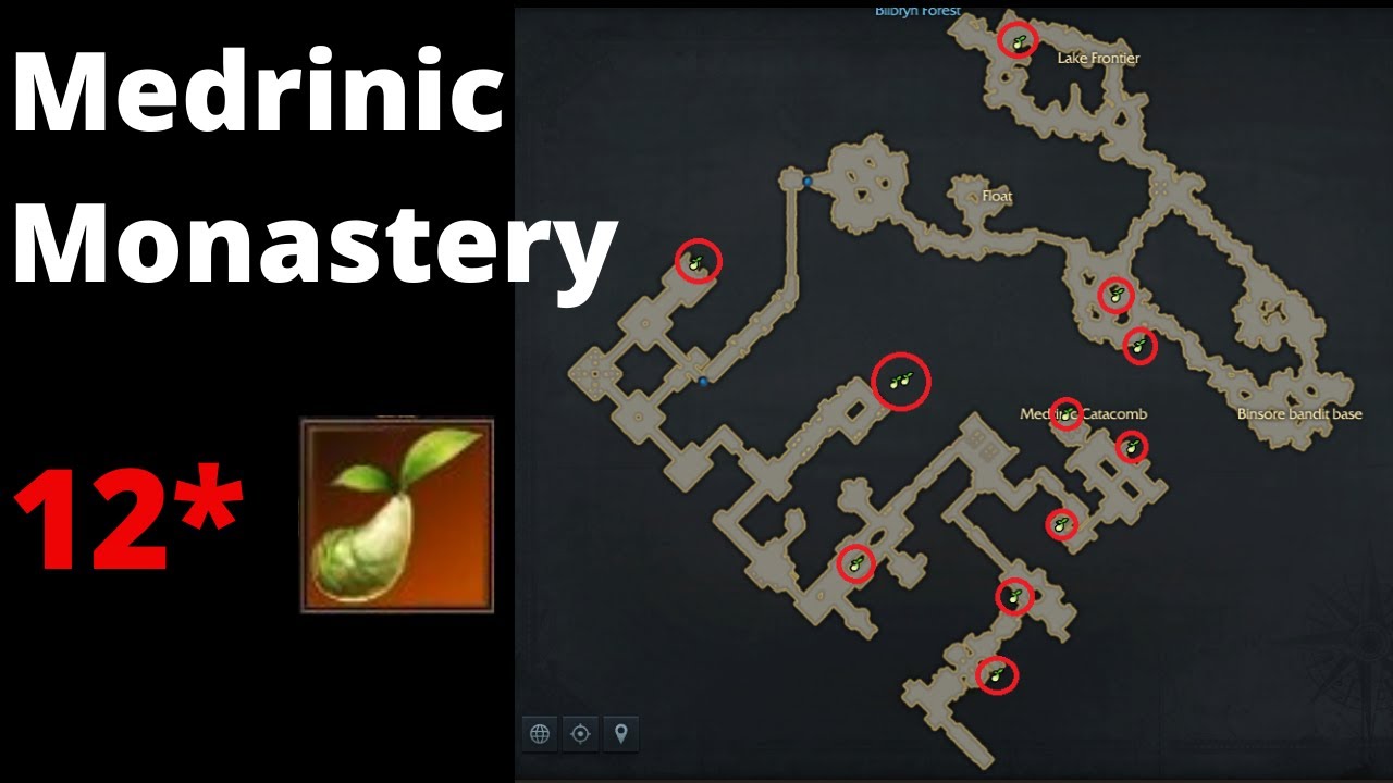 Lost Ark Guide | Medrinic Monastery - Mococo Seeds Location