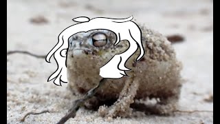 angry squeaking smolyy