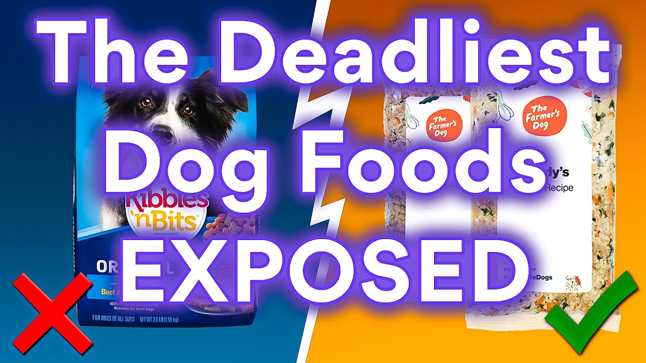 10 брендов кормов для собак, которых СТОИТ ИЗБЕГАТЬ ЛЮБОЙ ЦЕНОЙ! (И лишь немногие из них безопасны!)