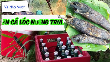 CÁ LỐC NƯỚNG THẾ NÀO CHO NGON.