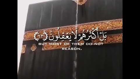 من أروع تلاوات القارئ عبدالرحمن مسعد ولحظة سقوط المطر عند الكعبة المشرفة 🕋720p