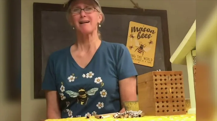 Victoria Mayberry Native Bees