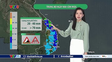 Dự báo thời tiết du lịch 7 ngày tới từ ngày 11 đến ngày 17/12/2025 | VTVWDB