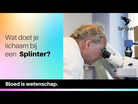 Video: Wanneer gaan splinters weg?